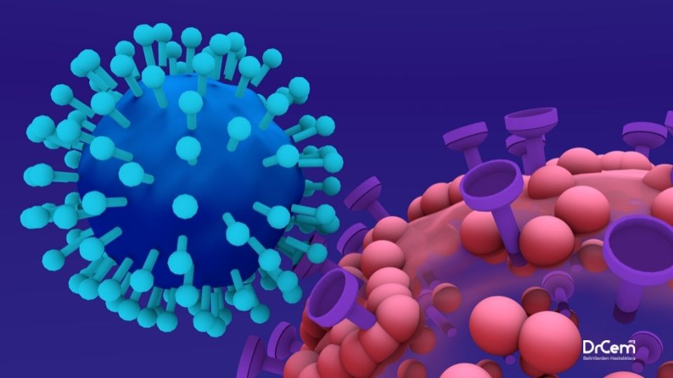 Viral Hepatit görseli - DrCem hastalık rehberi